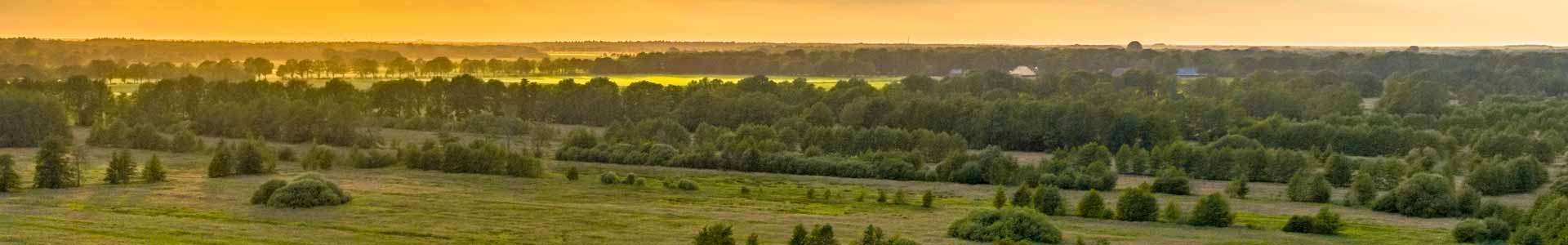 Texas land