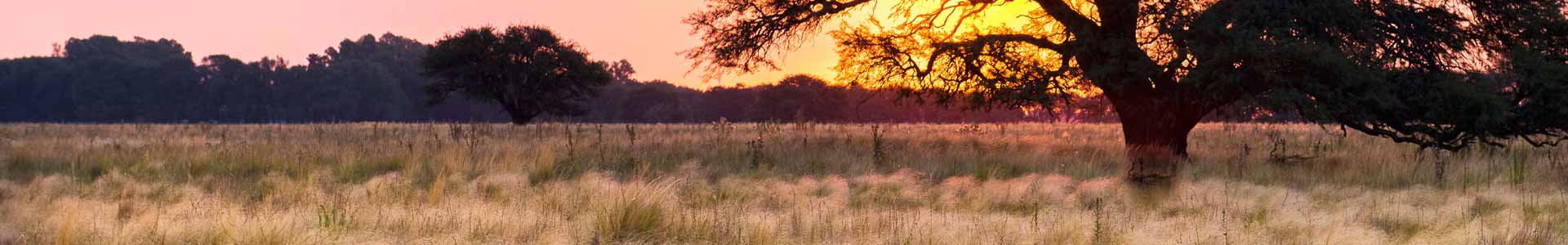 Matagorda County, Texas